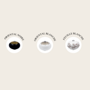 Stylish ceramic knobs: Oriental Noire, Oriental Blanche, and Feuille Blanche for decor enhancement.