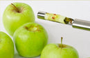 Vide pomme - Maison Habiague