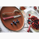 Couteau bon appétit plus Opinel unité - Maison Habiague